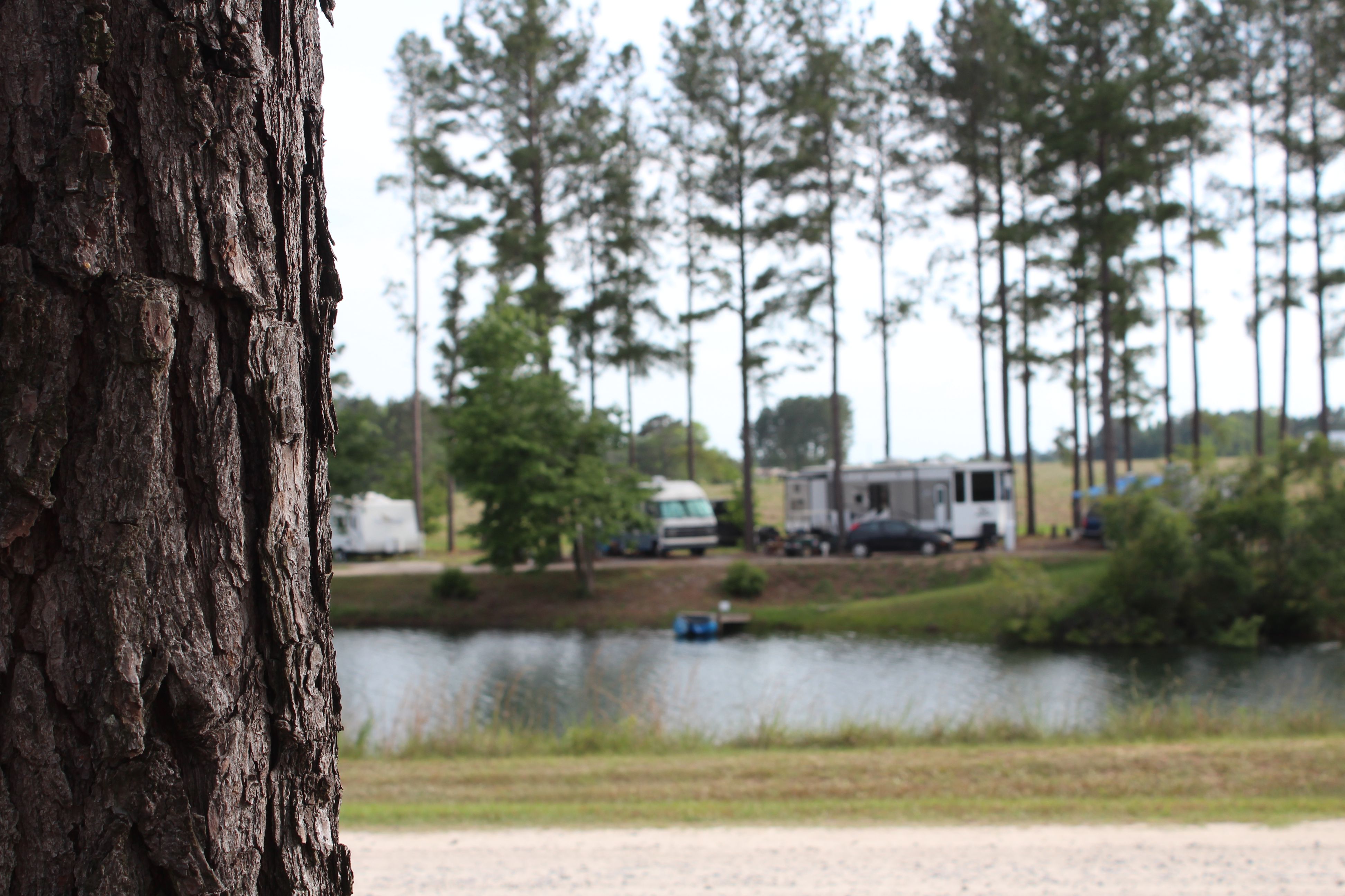 We hope you enjoy your stay at our beautiful Georgia RV Park!