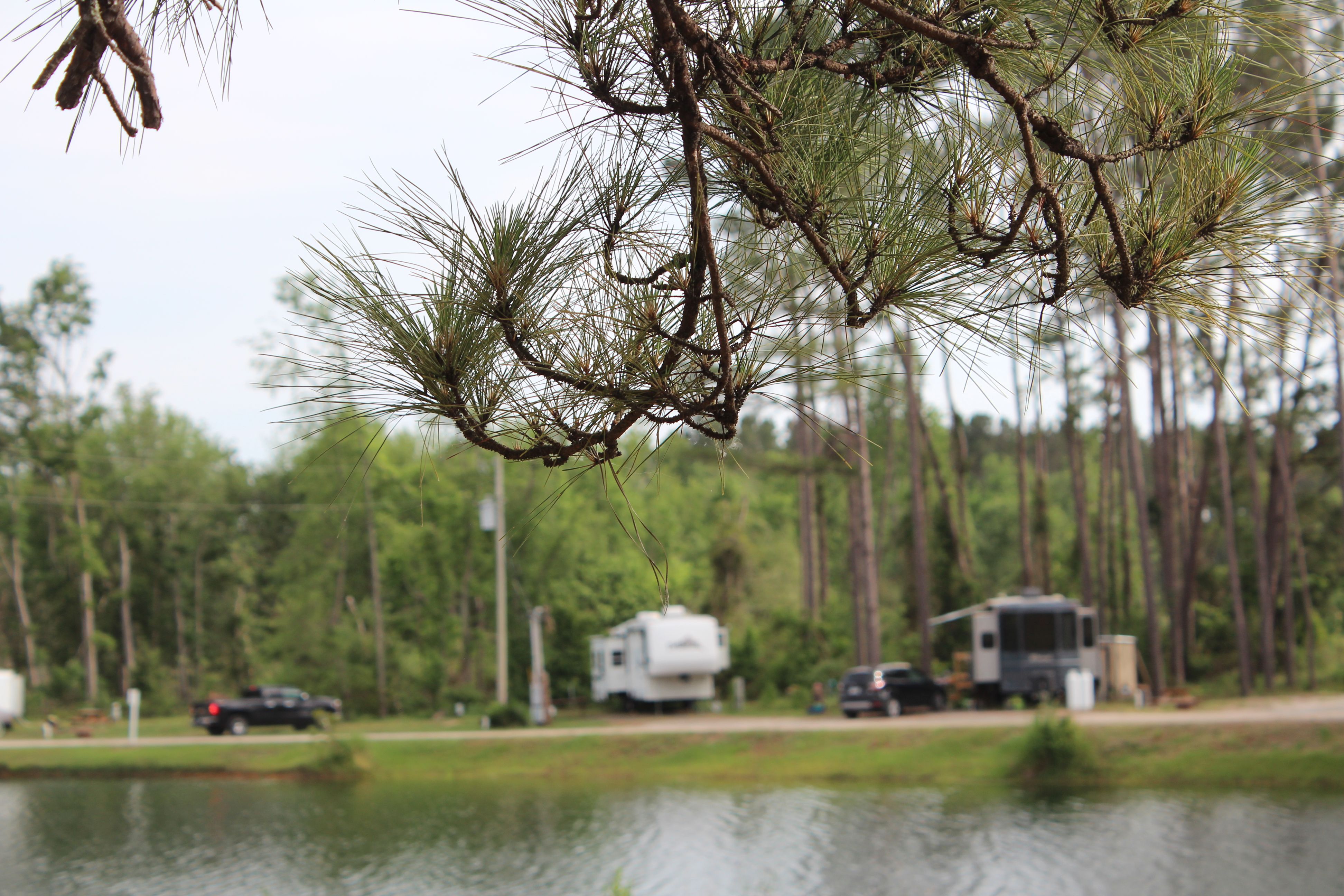 Blurry image of the lake with RV's parked across it