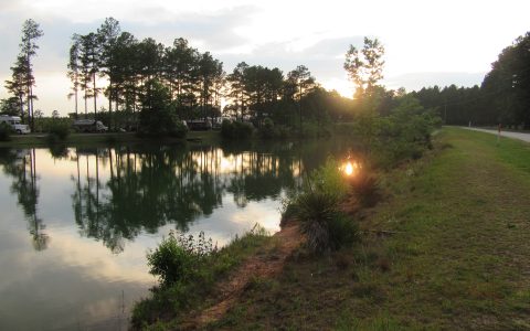IMG_0492